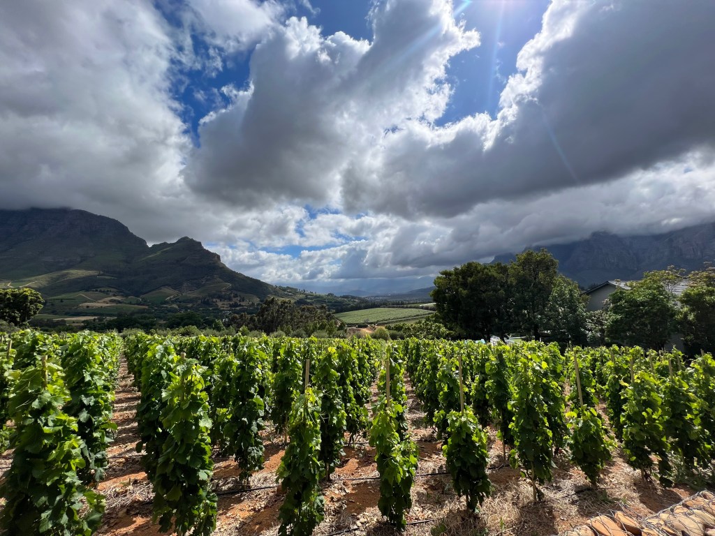 10 Unique & Exciting Destinations for Your “Hunny” in&nbsp;2026